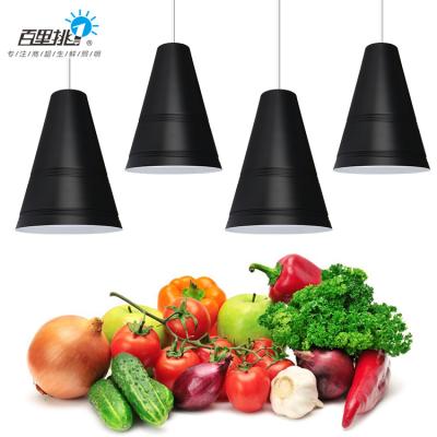 China Best Design Fresh Fruit Lamp Fresh Fruit Vegetable Fresh Seafood Lamps Bread 30W 36W LED Cool Pendant Light for sale