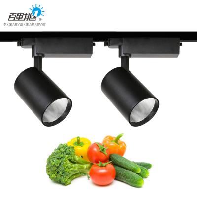 China 2022 Aluminum New Design Lighting Fruit Seafood Raw Meat Vegetables Decorated 24W 36W With Different Led Colors For Tracking Cool Lights for sale