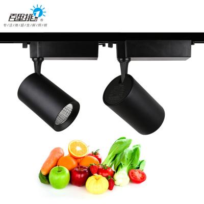 China Increased Version Lamp Fruit Freezer Aluminum Fresh Meat Vegetable Seafood 30w Deli Led Track Fresh Meat Food Light for sale