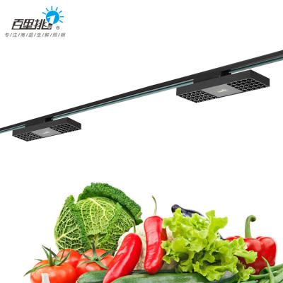 China Best-selling price 40w shop decoration food meat light aluminum special high-grade aluminum special materials slim cool lamps for sale