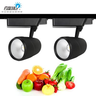 China Low Price Lighting Commercial Aluminum Special Market Restaurant Decoration 33w Aluminum Color Customs Lead Track Lights for sale