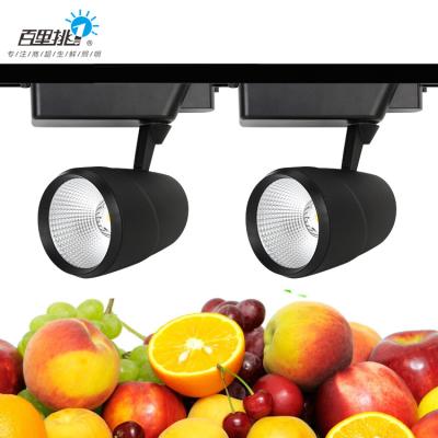 China Multicolor High Quality Aluminum Lamp Raw Meat Fresh Vegetables Fruit Aluminum Fresh Seafood LED Track Lights for sale