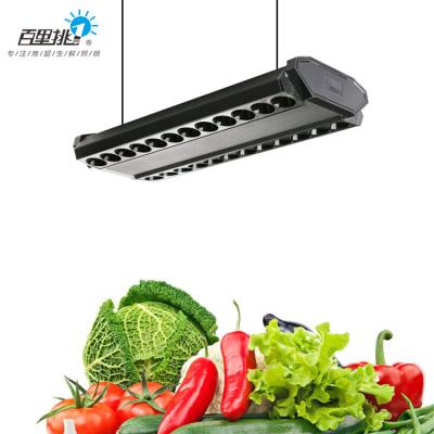 China Direct Type Lighting Supermarket Shopping Malls Fresh Food Fruit Stores 50W LED Cool Shelf Aluminum Factory Linear Lamps for sale