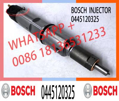 Cina Diesel Injector 0445120325 0445 120 325 0 445 120 325 For Common Rail Injector Diesel Injector in vendita