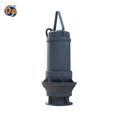 China Drinking water treatment 10 inch high flow pump axial flow agriculture water pump submersible axial flow pump for sale