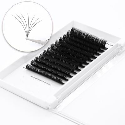 China Glitter & Easy Shimmery Eyelash Extensions Professional Lash Fan Extensions Fast Grow 1s Volume Private Label Private Label Mega Cases for sale