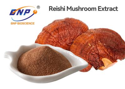 China 30% Polysaccharide 2% Triterpene Ganoderma Lucidum Extract Powder Red Reishi Mushroom for sale