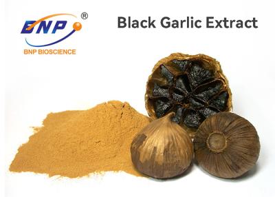 China HPLC Test Black Garlic Extract 0.1% SAC Allium Sativum L. for sale