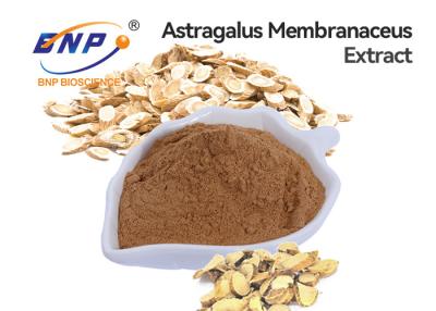 China High Quality Astragalus Polysaccharide 10%-70% Astragalus Extract for sale