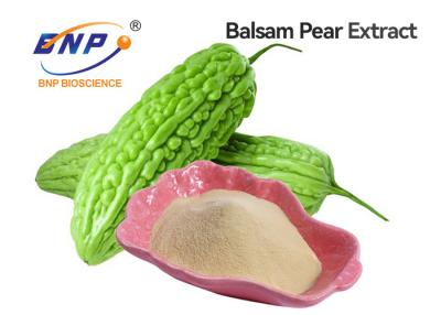 China Dried Natural Plant Extracts Charantin 10% Bitter Melon Powder for sale