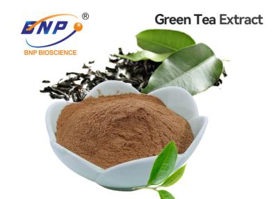 China Green Tea Extract Tea Polyphenols 20%-98% Brown, white powder for sale