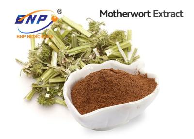 China Motherwort Extract Food Grade Brown Powder for sale