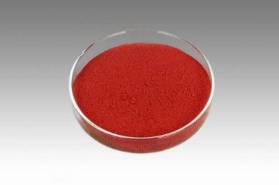 China Pure Reddish Tomato Extract Lycopene Powder 5% 10% 20% Health Supplements for sale