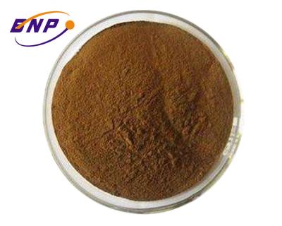 China Brown Fine Cordyceps Mushroom Extract Powder 50% Polysaccharides for sale