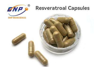 China 100% Natural OEM Supplement 100mg Resveratrol Capsules for sale