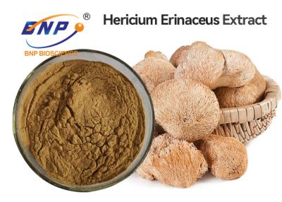 중국 갈색 Hericium Erinaceus 버섯 추출물 분말 원료 판매용