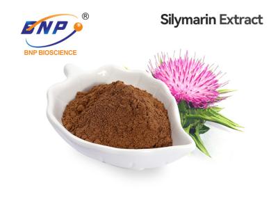 China Silybin 99% Milk Thistle Seed Extract Liver Protection for sale