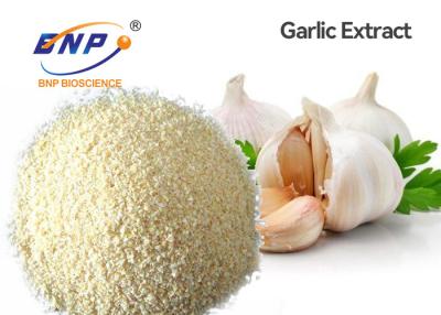 중국 항생제 Allium Sativum Bulb Extract 5% Allicin Fine Powder 판매용