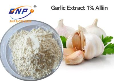 China 1% Alliin White Odourless Garlic Powder Allium Sativum L. for sale