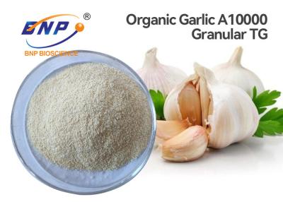 China 1% Allicin Organic Garlic Extract A10000 Granular Allium Sativum L. for sale