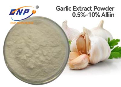 China 10% Alliin Garlic Extract Powder Allium Sativum L. Antidiabetic for sale