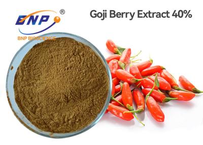 China Water Solvent Goji Berry Extract 40% Polysaccharide Lycium Barbarum Powder for sale