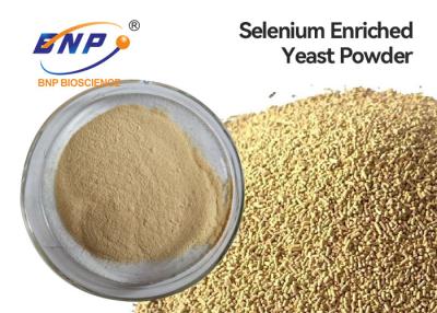 China ISO Nutraceuticals Supplements Selenium Enriched Yeast Fine Powder for sale