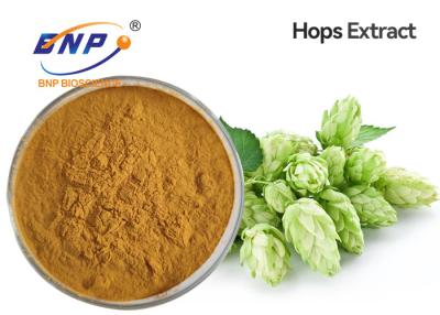 China Flavones 10% de Natuurlijke van de de Hopbloem van Installatieuittreksels Bloem van Humulus Lupulus Te koop