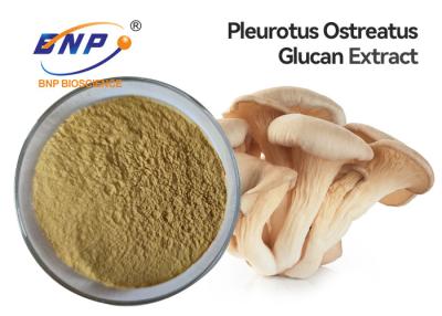 Китай Полисахарид 10% дополнения выдержки гриба устрицы Ostreatus Pleurotus продается