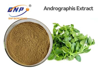 China Antibacterial Food Grade Andrographis Paniculata Extract Powder 3%-99% Andrographolide for sale