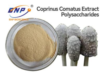 중국 UV 테스트 버섯 추출물 분말 GMO 무료 Coprinus Comatus 판매용