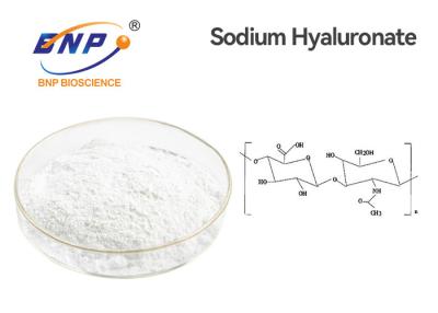 China CAS 9004-61-9 Hyaluronic Acid Powder 95% Sodium Hyaluronate for sale