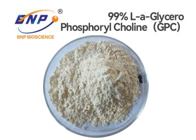 China CAS No. 28319-77-9 Alpha Gpc Powder 99% L Alpha Glycerylphosphorylcholine for sale