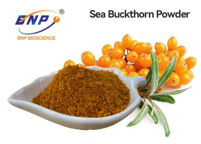 China Light Yellow Fruit Vegetable Powder Supplement Hippophae Rhamnoides Sea Buckthorn Juice Powder for sale