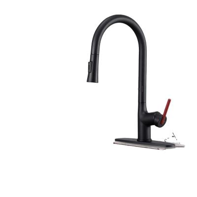 China 304 Faucets Thermostatic Faucet Pull Out Spray Gooseneck Mixer Pull Down Double Sink Kitchen Faucet for sale