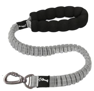 China Thoughtful Traction Training Pet Soft Lead Improved Control Comfort Texture Bungee Soft Dog Leash With Shock Absorbing for sale