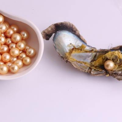 China Edison Pearl 10-14mm Gold AAAA Grade Akoya Oyster Saltwater Jewelry Making 1 Pearl In Per Akoya Oysters With Vacuum Packed for sale