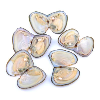 China Jewelry Making Rice Pearl 6-7mm Colorful AAAA Grade Akoya Oyster Freshwater 1 Pearl In Per Oyster With Vacuum Packed for sale