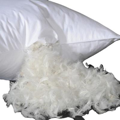 China Wholesale Anti-Static Fluffy Down Feather Beckham Hotel Collection Bed Pillows For Sleep Duck Plush Pillow Goose Down Pillow for sale