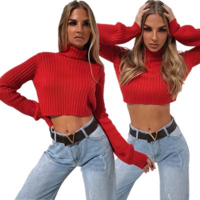 China Free Sample OEM Anti-pilling Turtle Neck Knitted Crop Top Neylon Winter Women Sweater for sale