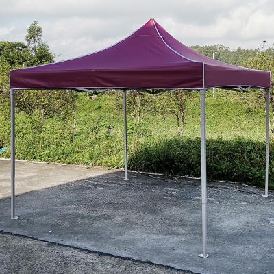 China China Easy Installed Custom Folding 10x10 Canopy Outdoor Tent Waterproof 3x3 Party Event Tent for sale