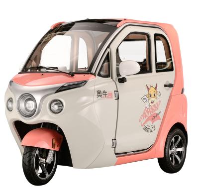 China Electric Cargo Car EEC 3 Wheel Mini Transport Vehicle Electric Tricycle for sale