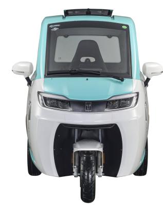 China Aonew EEC New Energy Min Car Electric Three Wheels Electric Cargo Car Made in China for sale