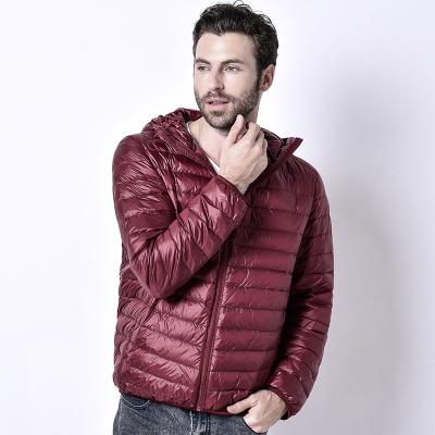 China Regular Fall And Winter Hooded Down Jacket Men's Lightweight Down Jacket Slim Fit Casual Warm for sale