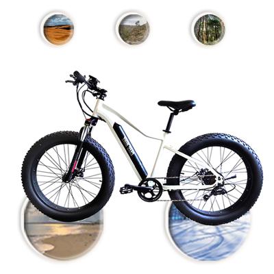 China Aluminum Alloy Woman Lady 26inch Snow Mountain Fat Tire Electric Bike Adult for sale