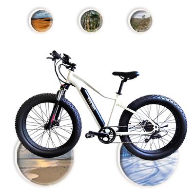 China Aluminum alloy fat tire 500W electric bike bicycle ebike mountain for sale