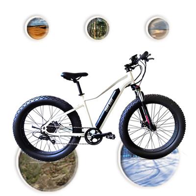 China China aluminum alloy electric bicycle wholesale cheap tire 48v lithium battery, electric E-bike price for sale