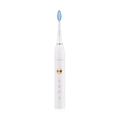 China Portable RM-T5 IPX7 Teeth Whitening Sonic Electric Toothbrush YS-1118 for sale