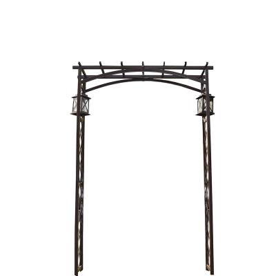 China Eco-Friendly Outdoor Garden Arch Decoration Freestyle Wrought Iron Coated Flower Easily Assembled For Wedding for sale