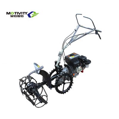 China Plant Gasoline Orchard and Garden Cultivator Tiller 4 Stroke Rotary Tiller For Farm Power Tools for sale